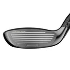 Paradym Ai Smoke Hybrid